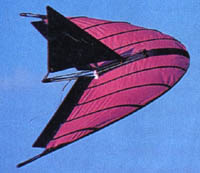 L'aile volante Parab'aile